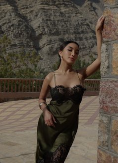 KN Bespoken Companion - puta in Dubai Photo 16 of 17