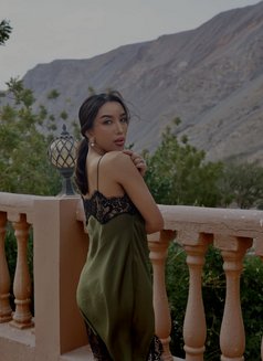 KN Bespoken Companion - puta in Dubai Photo 4 of 17