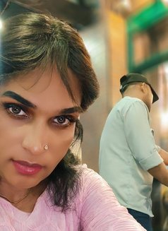 Kochi Shemale Queen - Acompañantes transexual in Kochi Photo 3 of 4