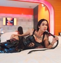 Koki69 - Transsexual escort in Pattaya