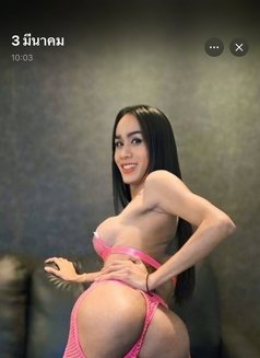 Koki69 - Acompañantes transexual in Pattaya Photo 10 of 10