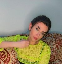 Kokii - Transsexual escort in Cairo