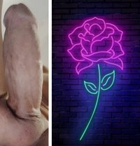 Koko Aries - Acompañantes masculino in Beirut