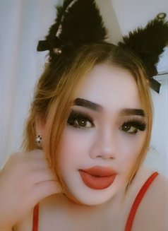 Koko professional massage good take care - Transsexual escort in Khobar Photo 2 of 8