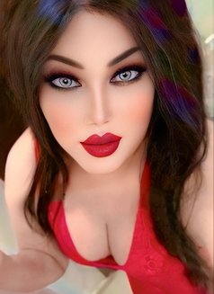 Koky shemale - Transsexual escort in Cairo Photo 3 of 18