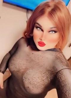 Koky shemale - Transsexual escort in Cairo Photo 12 of 18