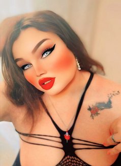 Koky shemale - Transsexual escort in Cairo Photo 15 of 18