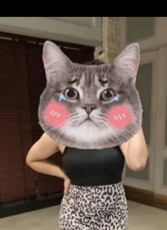 Kolkata VVIP Escort - escort in Kolkata Photo 1 of 5