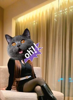 Kolkata VVIP Escort - escort in Kolkata Photo 4 of 5