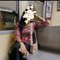 Real🥀meet & Webcam🥀shows - masseuse in Hyderabad Photo 1 of 12