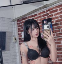 Komatosze - escort in Jubail