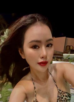 NewKorea Misstress Anal Rim GM CIM - escort in Dubai Photo 9 of 13