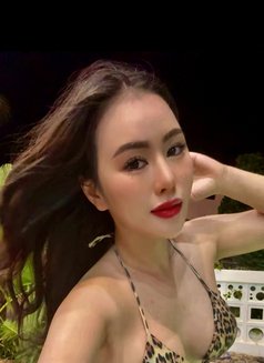 NewKorea Misstress Anal Rim GM CIM - escort in Dubai Photo 11 of 13