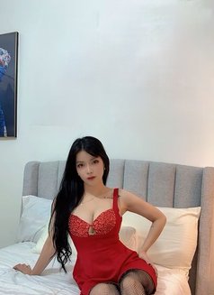 Korean/Japan-Babe Sensation, New in town - escort in Singapore Photo 2 of 13