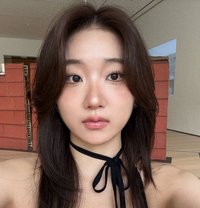Korean Doll in Pattaya Incall Doorstep - puta in Pattaya