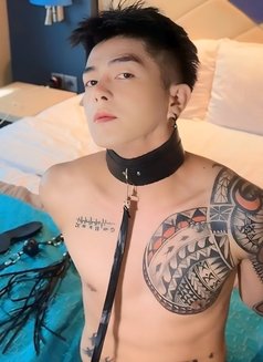 Korean Twink Boytoy Big Dick - Male escort in Dubai Photo 21 of 21