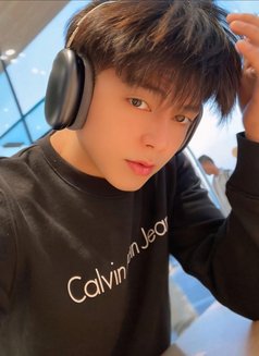 Korean Twink Boytoy Big Dick - Male escort in Bangkok Photo 7 of 7