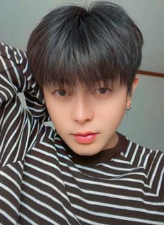 Korean Twink Boytoy Big Dick - Acompañantes masculino in Manila Photo 9 of 10