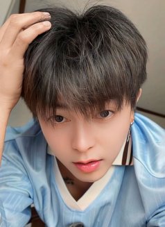 Korean Twink Boytoy Big Dick - Acompañantes masculino in Manila Photo 10 of 10