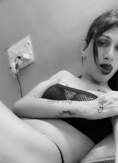 Koyinoor Naaz - Acompañantes transexual in Lucknow Photo 22 of 30