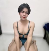 Kan Kaeo - Transsexual escort in Doha