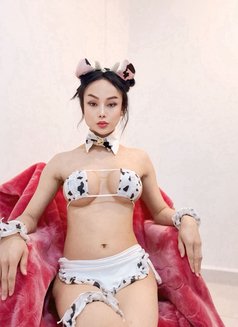 Kris Cham Both Together - Transsexual escort in Muscat Photo 1 of 6