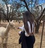 Krishma Independent Girl - escort in New Delhi Photo 1 of 5