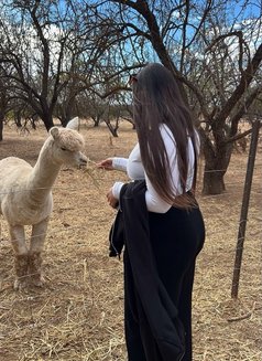 Krishma Independent Girl - escort in New Delhi Photo 1 of 5