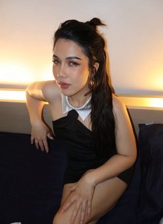 Krissy - escort in Bangkok Photo 13 of 19