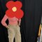 Kritika Cam and Real Meet Cash on Deal - escort in Jaipur Photo 2 of 3