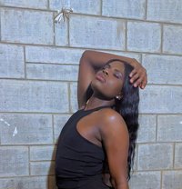 Kryst - Transsexual escort in Nairobi