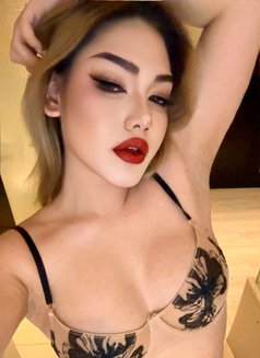 Krystal - Acompañantes transexual in Abu Dhabi Photo 13 of 13