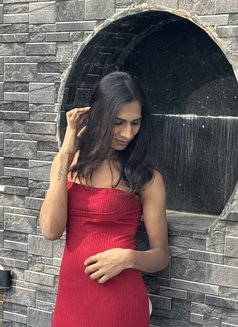 Kushi Reddy Shemale - Transsexual escort in Hyderabad Photo 8 of 8