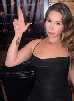 Kyle - Transsexual escort in Jeddah Photo 1 of 1