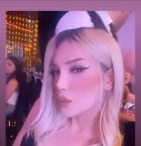 Kylie Carmen - Transsexual escort in İzmir