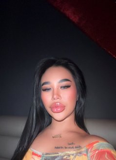 Kylie ellie - escort in Phuket Photo 20 of 20