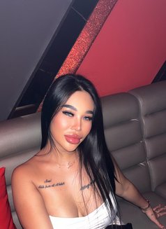 Kylie ellie π€ - escort in Phuket Photo 22 of 28