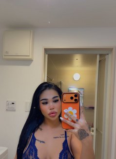 Kylie ellie 🤍 - escort in Phuket Photo 11 of 24