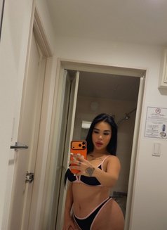 Kylie ellie 🤍 - escort in Phuket Photo 17 of 24