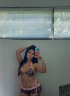 Kylie ellie 🤍 - escort in Phuket Photo 22 of 22