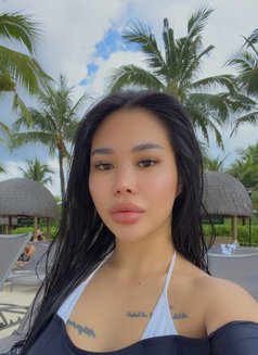 Kylie ellie 🤍 - escort in Phuket Photo 29 of 29