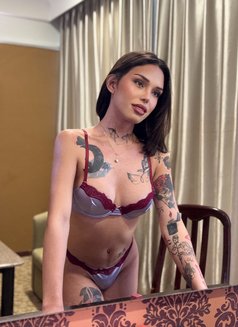 Kylie Ellis - Acompañantes transexual in Taipei Photo 5 of 6