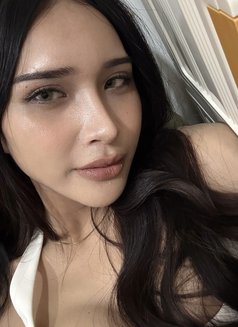 Kylie - Acompañantes transexual in Makati City Photo 7 of 12