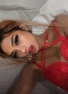 Kylie Hot sucker Hard Dick - Acompañantes transexual in Bali Photo 24 of 24