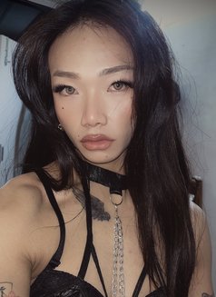 Kylie - Acompañantes transexual in New Delhi Photo 14 of 14