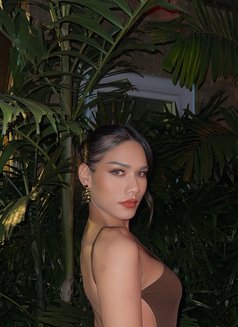 Kylie - Transsexual escort in Bangkok Photo 6 of 7