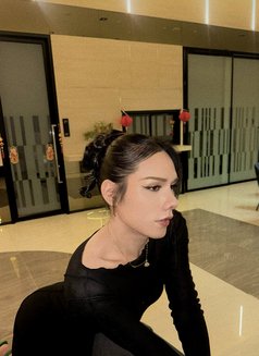 Kylie - Transsexual escort in Bangkok Photo 5 of 6