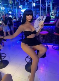 Kylie - Transsexual escort in Ko Samui Photo 14 of 14