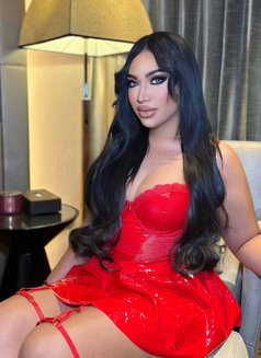 Kylie - Acompañantes transexual in Phuket Photo 13 of 14