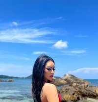 Kylie Thailand - Transsexual escort in Ko Samui